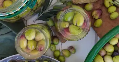 Ev Yapımı Kırma Yeşil Zeytin Tarifi