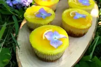 Mini Limonlu Cheesecake Tarifi