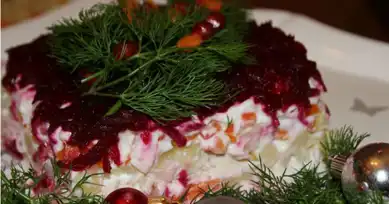 Lezzetli Kat Kat Şuba Salatası Tarifi