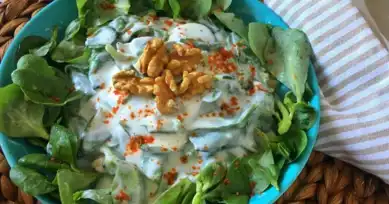 Nefis Yoğurtlu Semizotu Salatası Tarifi