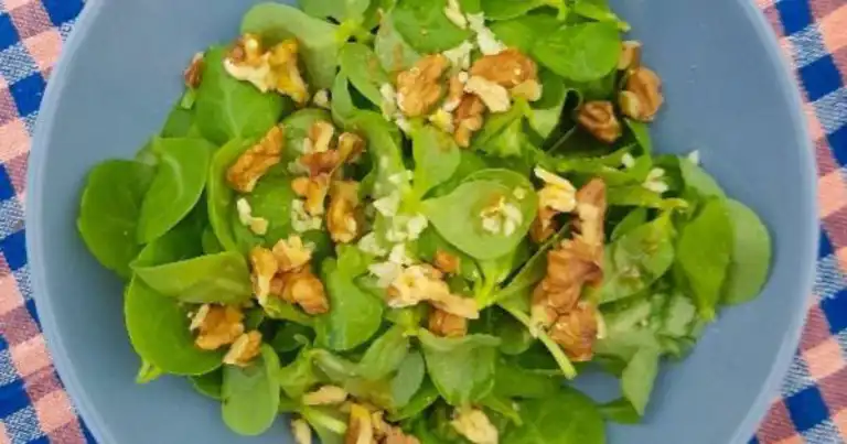 Nefis Cevizli Semizotu Salatası Tarifi
