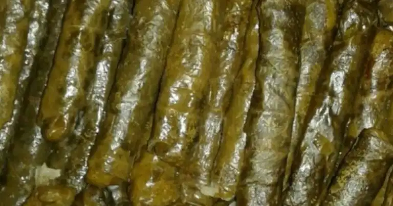 Nefis Yaprak Sarması Tarifi