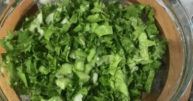 Yazın En Lezzetli Yeşil Salatası Tarifi